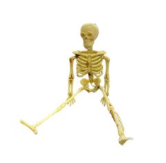 RC Skeleton Driver Figurine