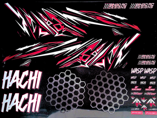 Bingo RC Designs Hachi/Wasp Livery