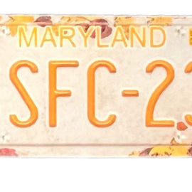 Leftover SuperShafty Fall Crawl License Plate - RC Plate Shop
