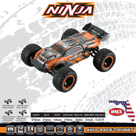 IMEX Ninja 1/16th Scale Brushed RTR 4WD Truggy
